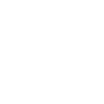fast-forward icon